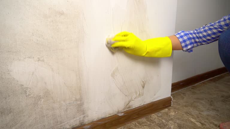 Trusted Choctaw Lake, OH Mold Inspection, Removal & Remediation Experts